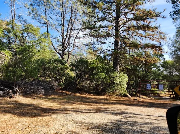 7949 Marie Ln, Rackerby, CA 95972