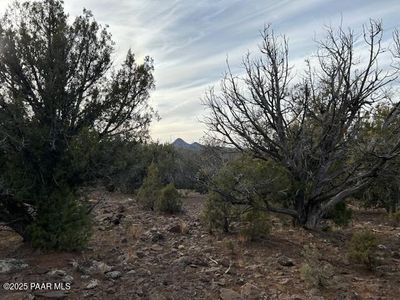 199 Westwood Rnch, Williams, AZ, 86046