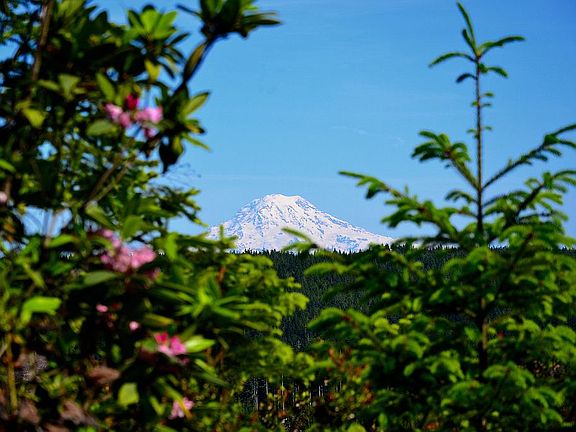 View of Mt. Rainier