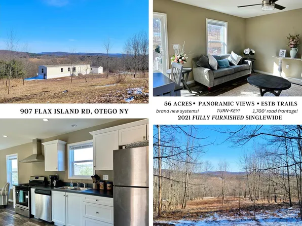 907 Flax Island Rd, Otego, NY 13825