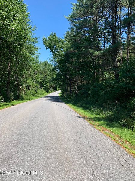 2nd image of 0 McDougal Lake Road