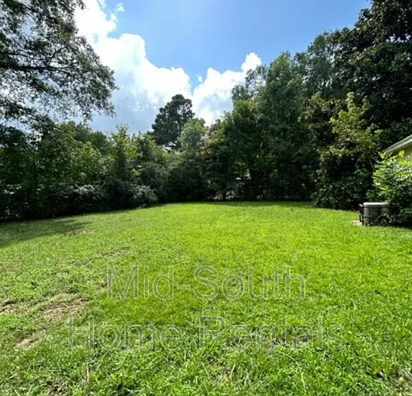 815 Carol Ann Cv — Photo 20