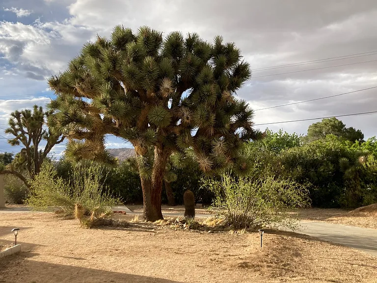 56654 Piute Trl — Photo 15