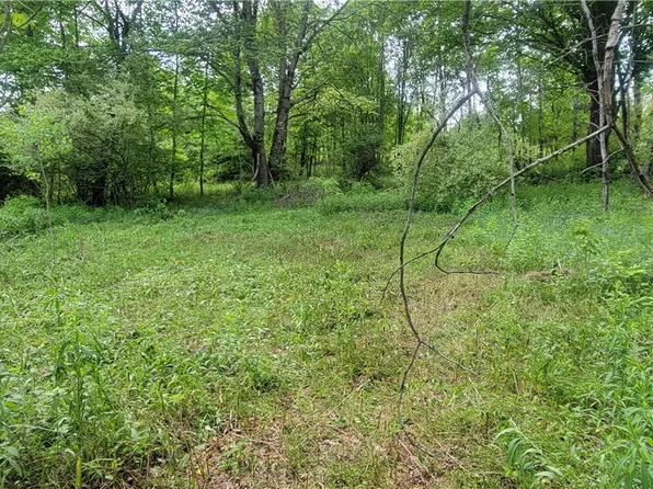 Mary Lynne Ln Lot 9, Bainbridge, NY 13733