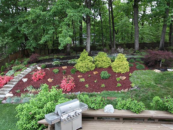 Fenced in very private backyard, with large deck and stone steps lead up hill to patio on backyard. Evergreen holly trees on both sides of deck.