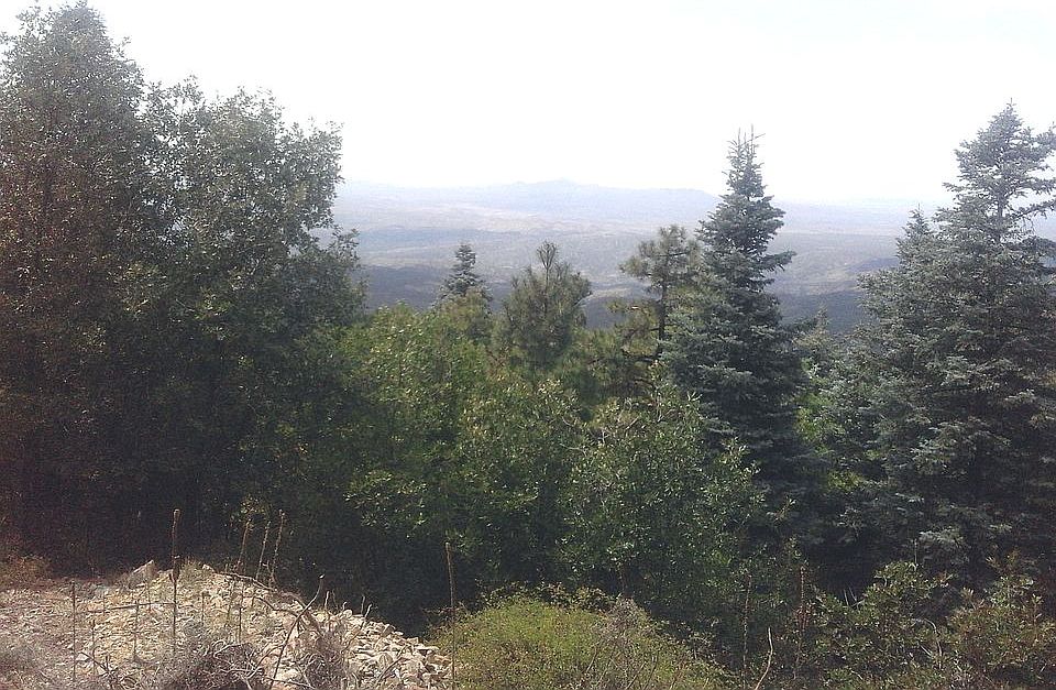 2nd image of 1053 Short Pine Trl
