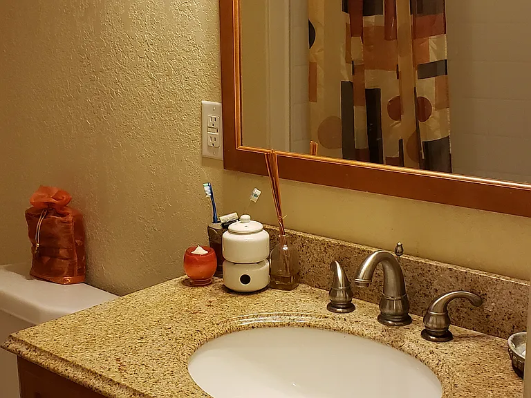 Guest bathroom