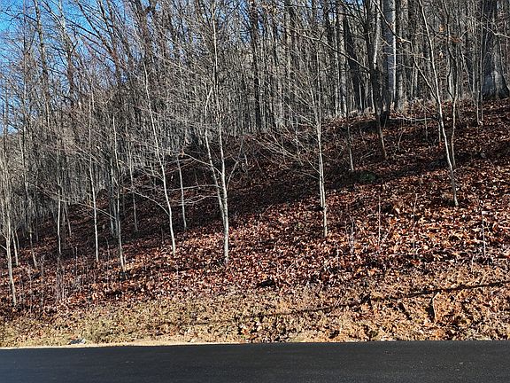 2nd image of 45 Mountainside Ct