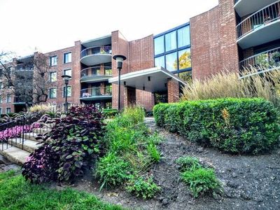 1615 E Central Rd UNIT 116B, Arlington Heights, IL, 60005