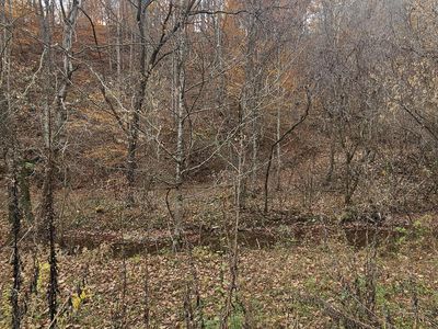 Caney Valley Loop, Surgoinsville, TN, 37873