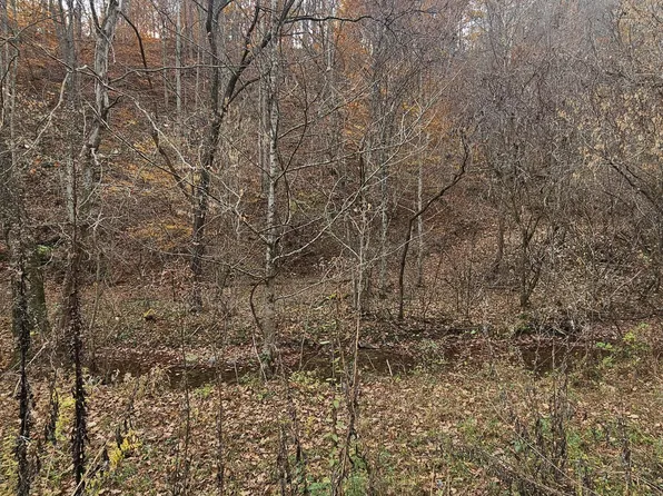 Caney Valley Loop, Surgoinsville, TN 37873