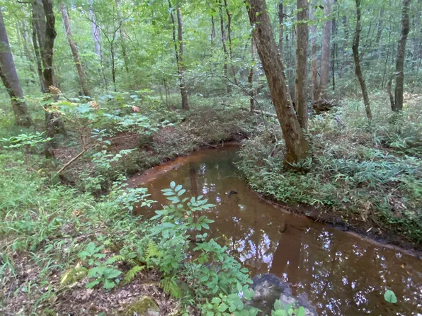 0 Pointe South Dr #2, Wedowee, AL 36278