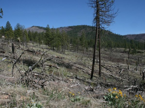 0 Coyote Canyon Rd, Fruitland, WA 99129