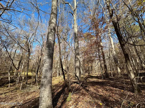 4 Wesley Ln, Brookhaven, MS 39601