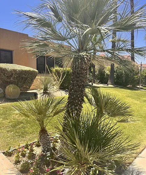 2280 N Hermosa Dr — Photo 4