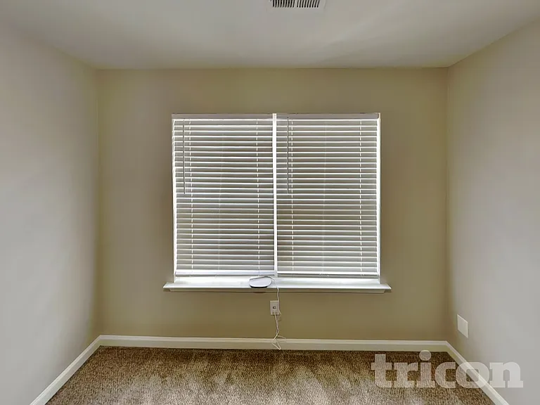 316 Drooping Leaf Rd — Photo 12