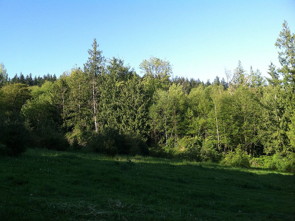 Looking east