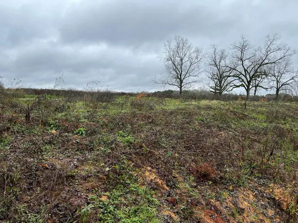 LOT 4 Bridge Rd #T, Red Level, AL 36474