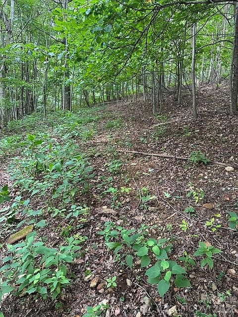 1st image of 0 Treadway Ridge Rd