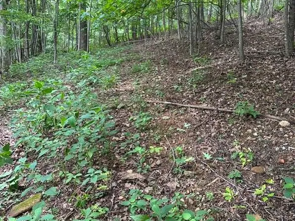 0 Treadway Ridge Rd, Moravian Falls, NC 28654