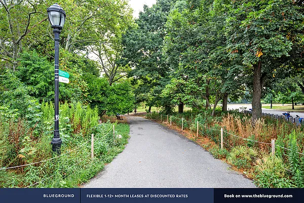 Rented by The Blueground | media 40