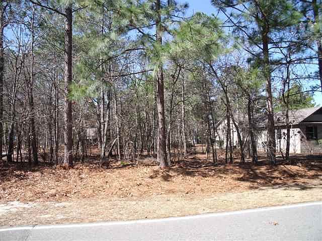 2nd image of 1500 E Longleaf Drive LOT 340