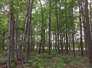 Fowlerville Rd, Fowlerville, MI 48836