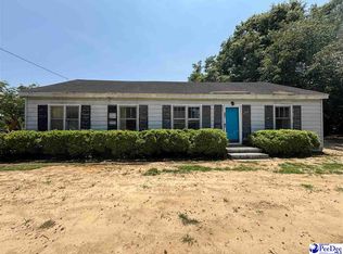 207 W Smith Ave, Darlington, SC 29532