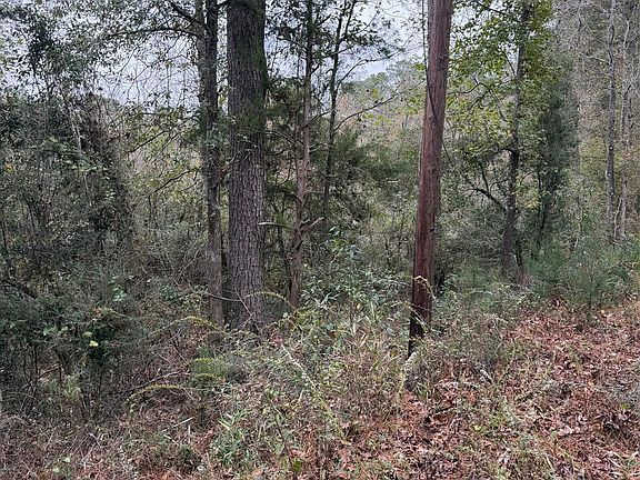 5th image of 0 Dillon Rd