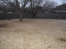 3rd image of 604 Live Oak Dr
