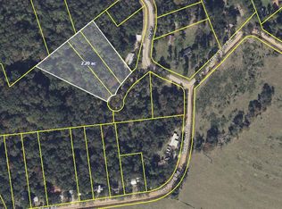 2/- Ac Fawn Dr, Georgetown, GA 39854