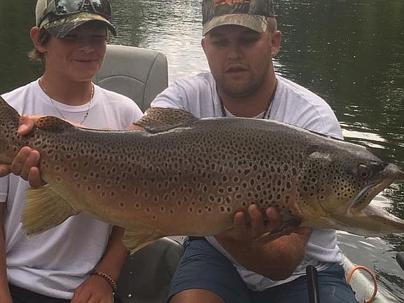 Toccoa River Brown Trout