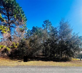 8039 N Creek Way Lot 13, Dunnellon, FL, 34434