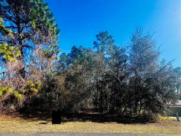 8039 N Creek Way Lot 13, Dunnellon, FL 34434