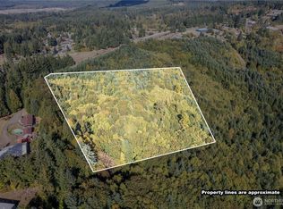 0 Lot 4 Spirit Lake Parcel WK3516014 Highway, Castle Rock, WA 98611