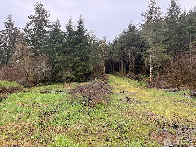 3rd image of 0 Bunker Creek Road