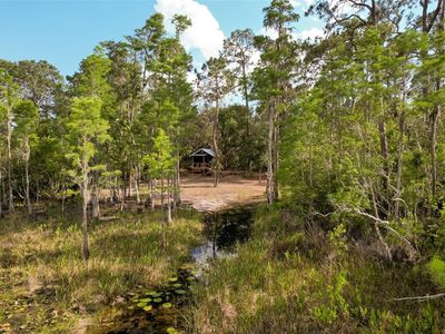 Adonijah Way, Clermont, FL, 34714