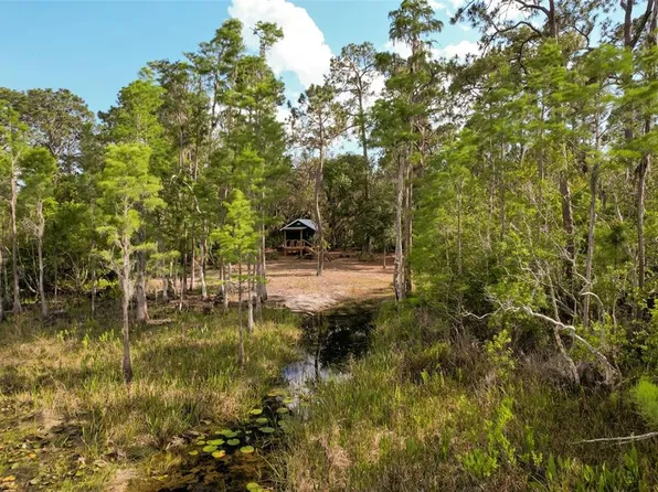 Adonijah Way, Clermont, FL 34714