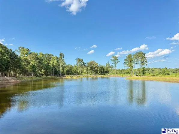 Kentyre Rd, Hamer, SC 29547