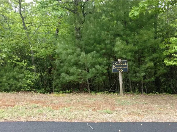 LOT 56 Brasstown Vw, Brasstown, NC 28902