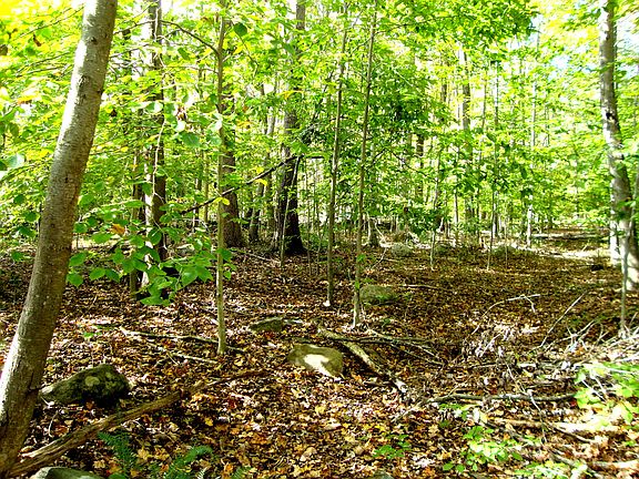 509 Opening Hill Road