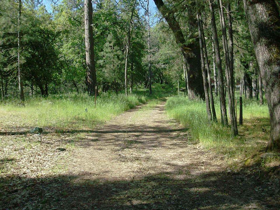 StreetView