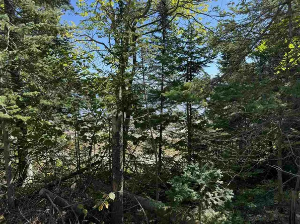 V/L East Side Dr, Beaver Island, MI 49782