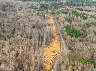 LOT-900-B Eleven County Rd #114, Scottsboro, AL 35769