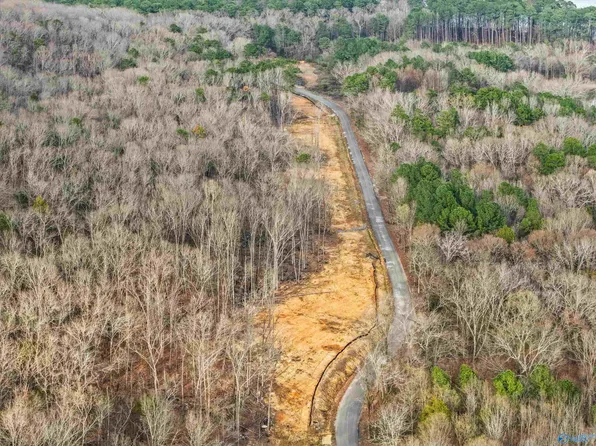 LOT-900-B Eleven County Rd #114, Scottsboro, AL 35769
