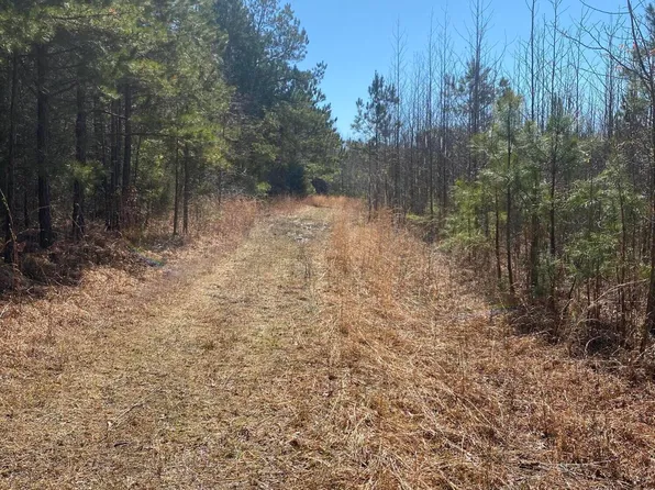 County Road 700, Ripley, MS 38663