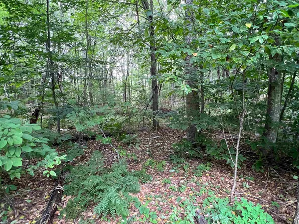 Lot 138 Deer Meadow Road #138, Webster, NH 03303