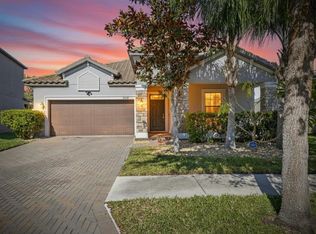 11924 Frost Aster Dr, Riverview, FL 33579