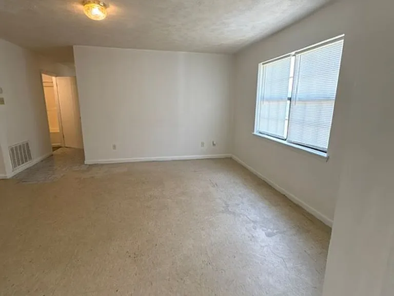 296 Homer Rd — Photo 7