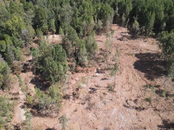 500 Uren Lee Rd, Overton, TX 75684